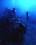 Aquatic 087